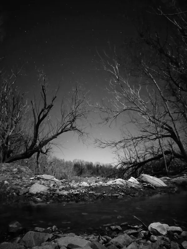 Midnight Hush thumbnail