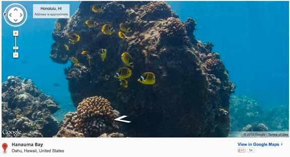 Google Brings Street View to the Great Barrier Reef