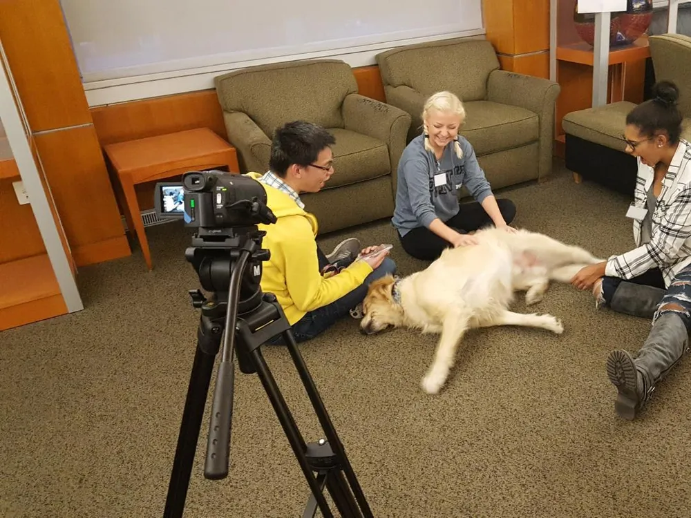 A photo of three adults sitting around a yellow labrador retreiver. The adults are petting and interacting with the dog while it lays on its side. Towards the left of the photo there is a camera recording the interaction.  