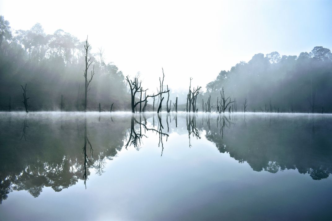 Nature Reflections Smithsonian Photo Contest Smithsonian Magazine