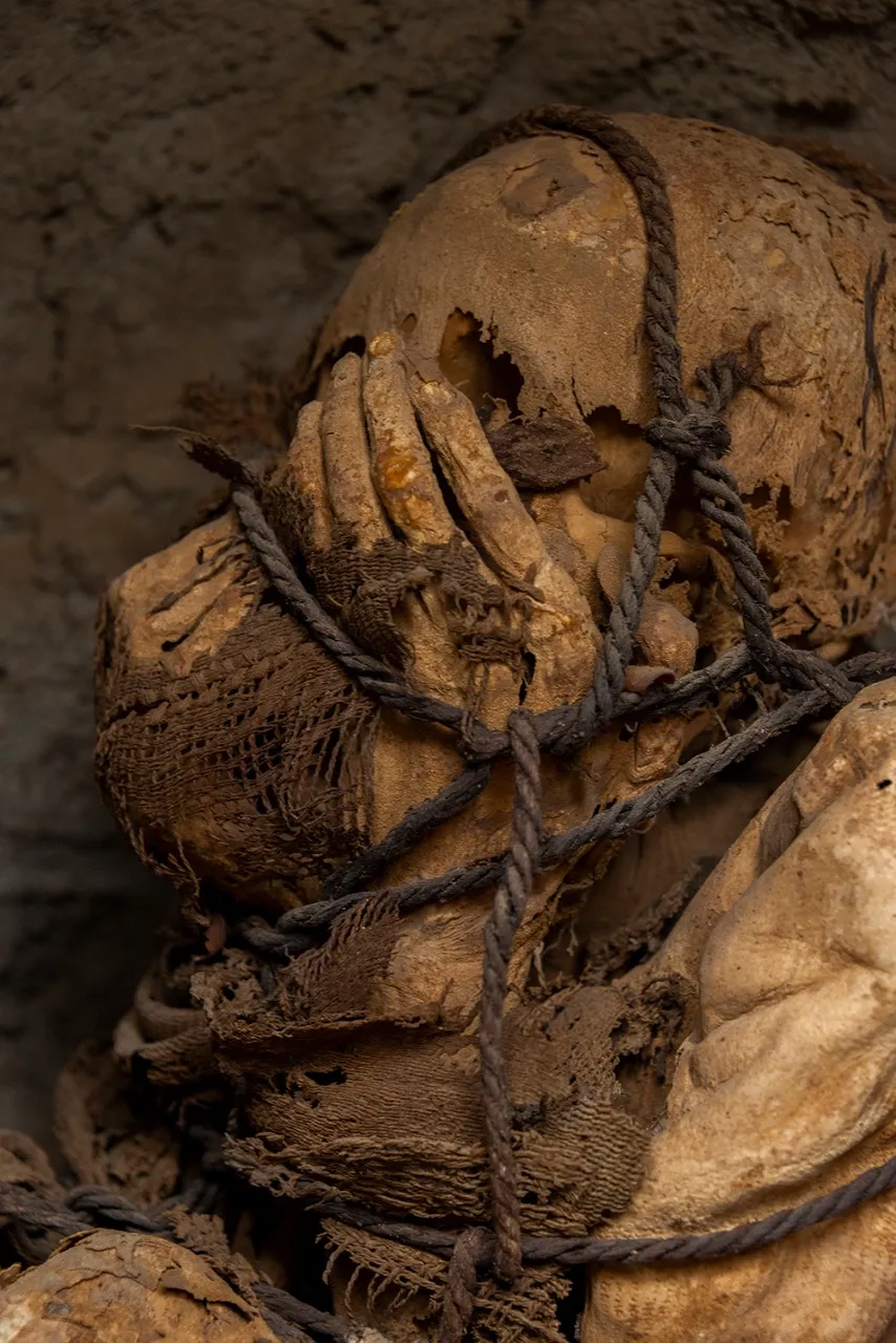 A close up of the mummy's face; the person covers their face with their hands and their body is wrapped in rope