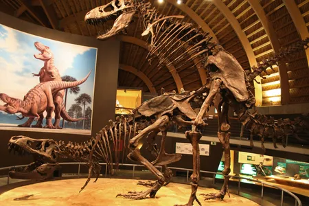 The Tyrannosaurus at Spain&rsquo;s Jurassic Museum of Asturias offer a speculative take on how dinosaurs mated.