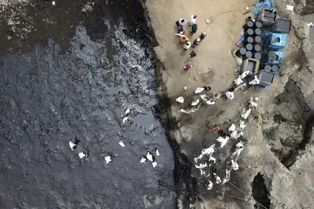 The oil slick in the ocean extended an area of over 320 football fields and has dirtied waters and beaches, resulting in many dead birds and seals washing up onshore.
&nbsp;