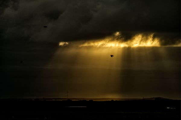 Ray of Light thumbnail