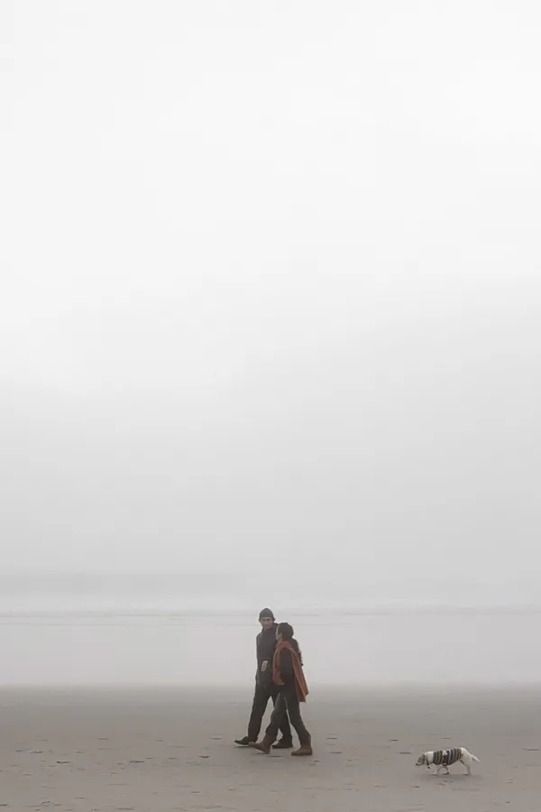 Foggy Stroll with Well-Dressed Pup thumbnail