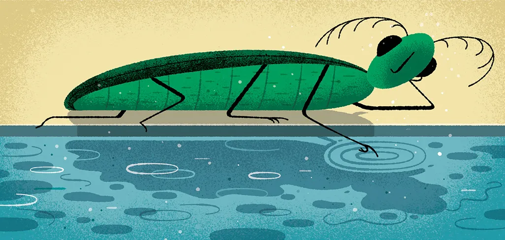 Conscious Insect Illustration