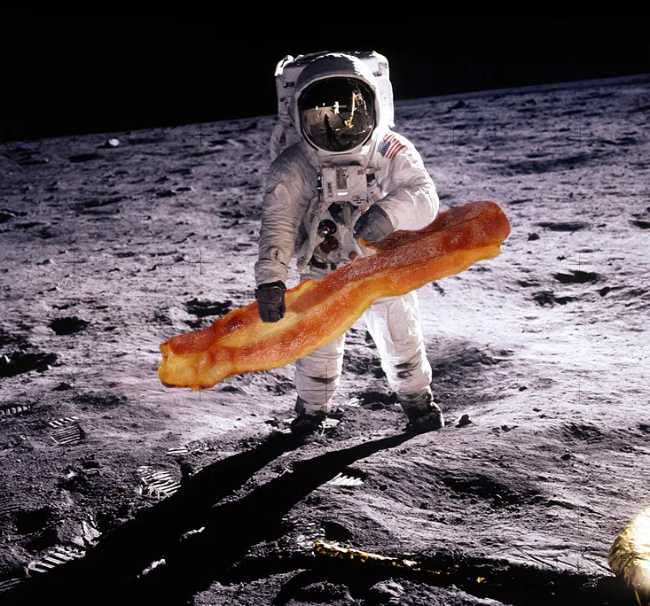 04_08_2014_space bacon.jpg