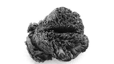 The ancient brain, preserved by flame