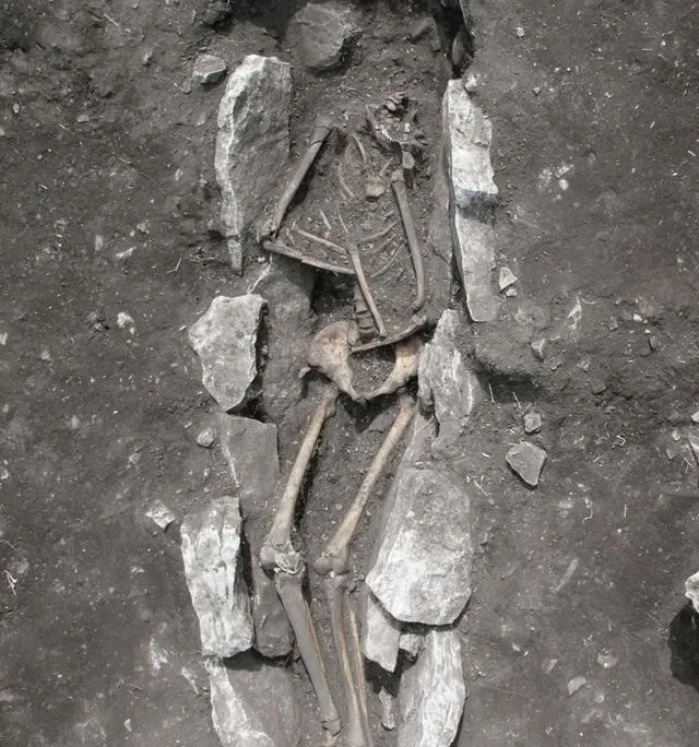Greek Skeleton