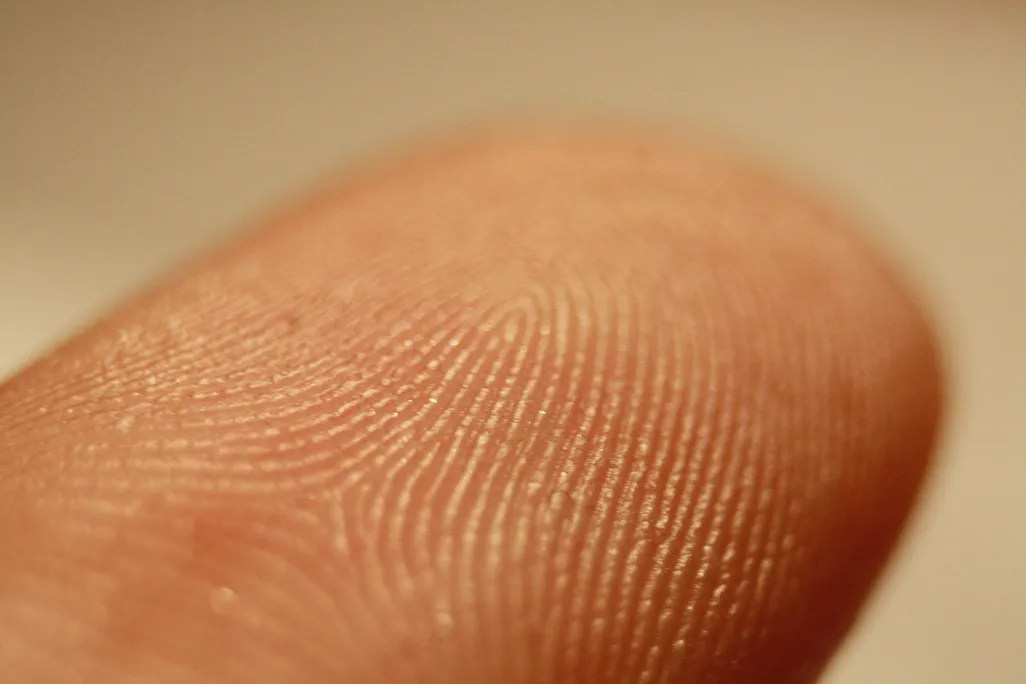 fingertip
