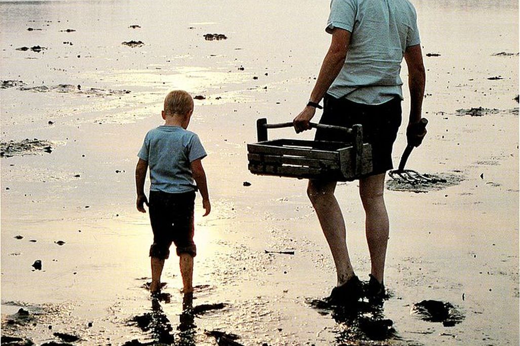 Clam Diggers