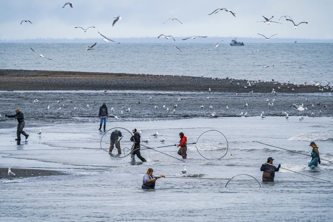 Those aren’t hula hoops. Using dip nets, people fish for salmon at Kasilof Beach in Kenai.