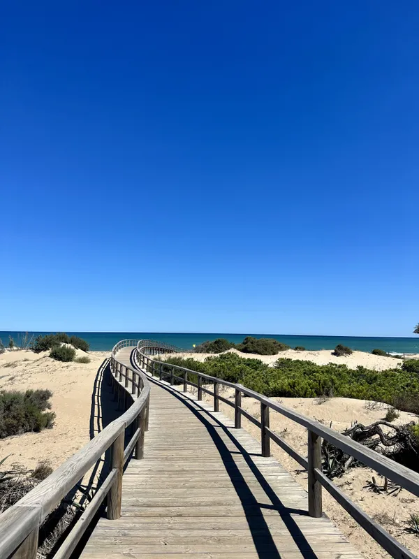 Boardwalk Through the Dunes of Guardamar thumbnail