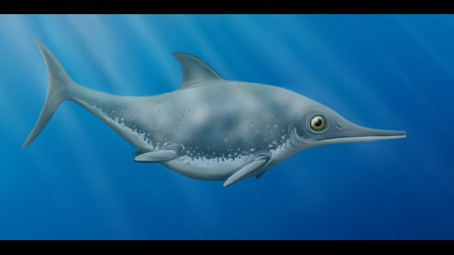 Thalassodraco etchesi