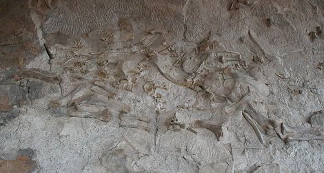 A view of the Dinosaur National Monument quarry before it closed for renovations in 2006