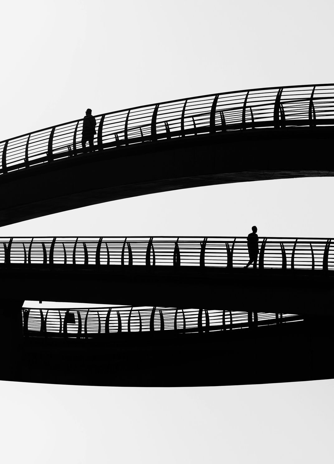 Left and right separation | Smithsonian Photo Contest | Smithsonian ...