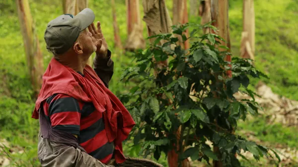 The so called thumbnail