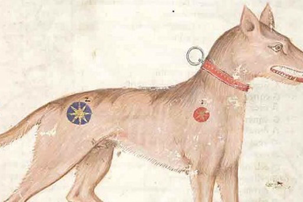 Medieval_dog-470.jpg