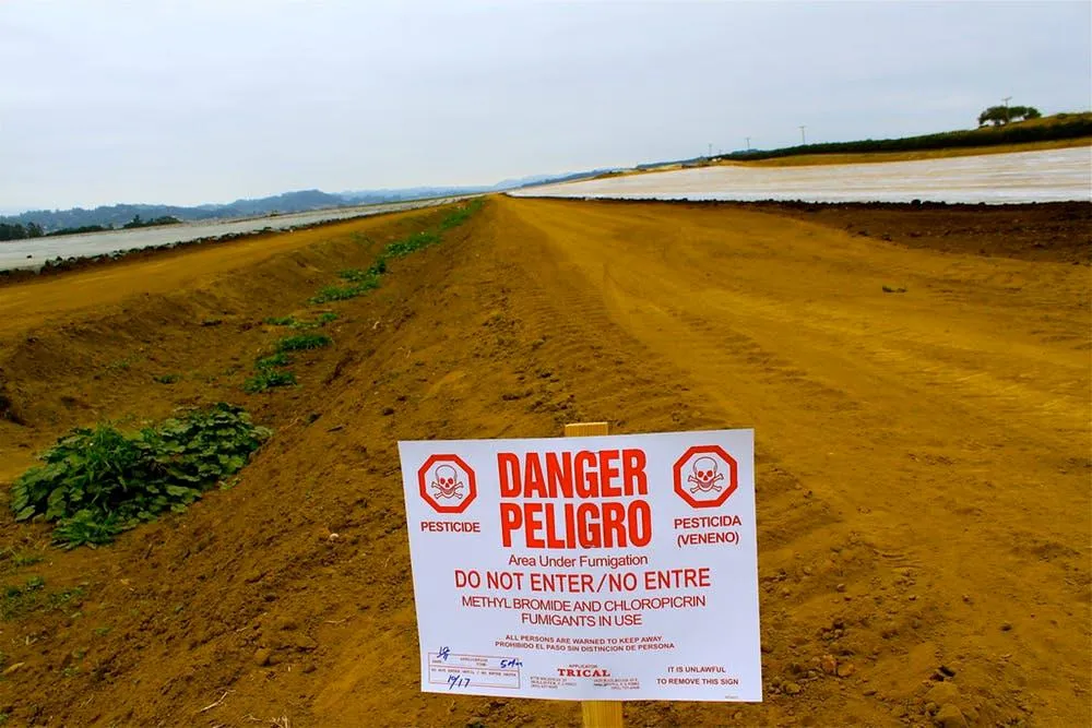 Recently fumigated field in Watsonville, Calif., Oct. 11, 2009