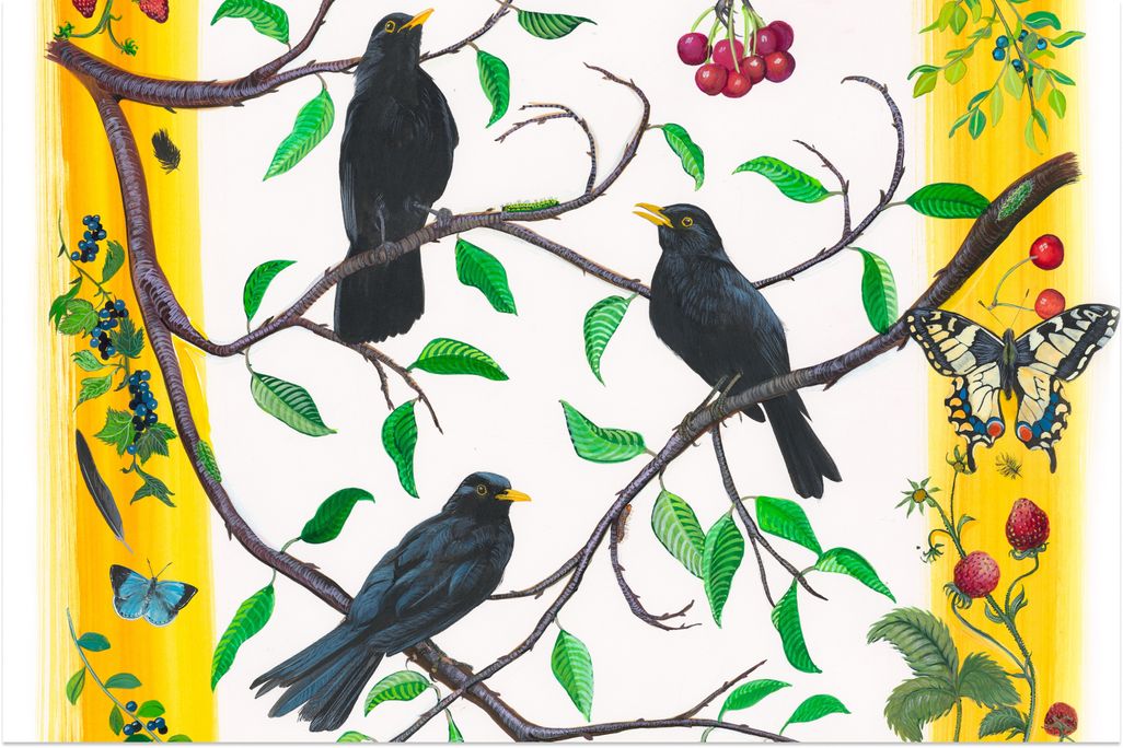 blackbird fit 2.jpg