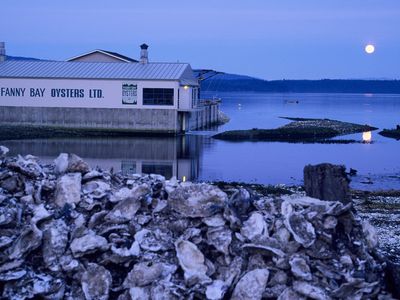 Shucked oyster shells lay beneath the moonlight at Fanny Bay Oyster Company on Vancouver Island in British Columbia, Canada.