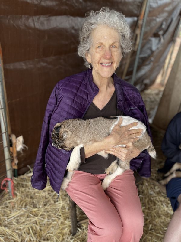A woman cuddles a baby goat thumbnail