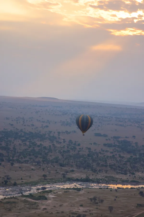 Morning aerial walk thumbnail