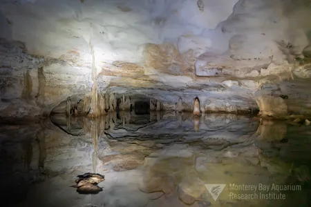 Staring into the mouth of flooded cave passages on the islands of the Turks and Caicos. Hidden cave pools are illuminated by dive lights and photo flash. (Joost Daniels, Monterey Bay Aquarium Research Institute) 