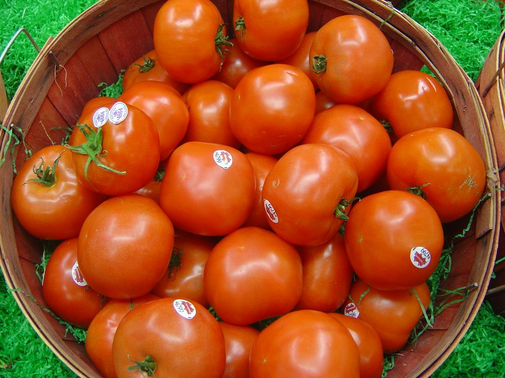 Category:Tomatoes - Wikimedia Commons