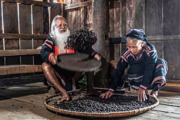 Coffee Beans Screening thumbnail