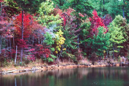 None