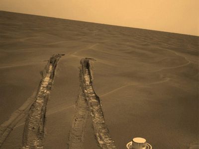 Opportunity