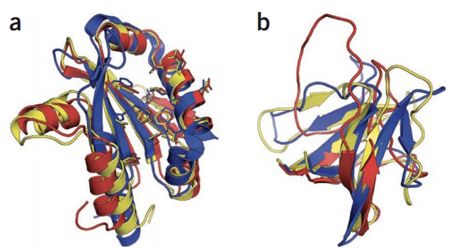 Gamers using FoldIt solved a riddle about the AIDS epidemic.