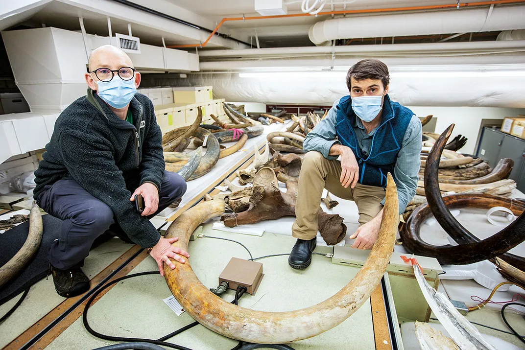 two men in a lab pose with woolly mammoth tusks