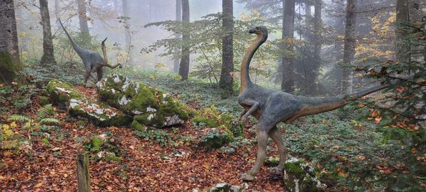 Ornithomimus in the prehistoric Réclère park. thumbnail
