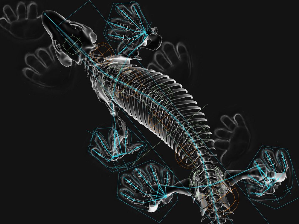 Scientists Used a Robot to Study How Prehistoric Lizards Walked