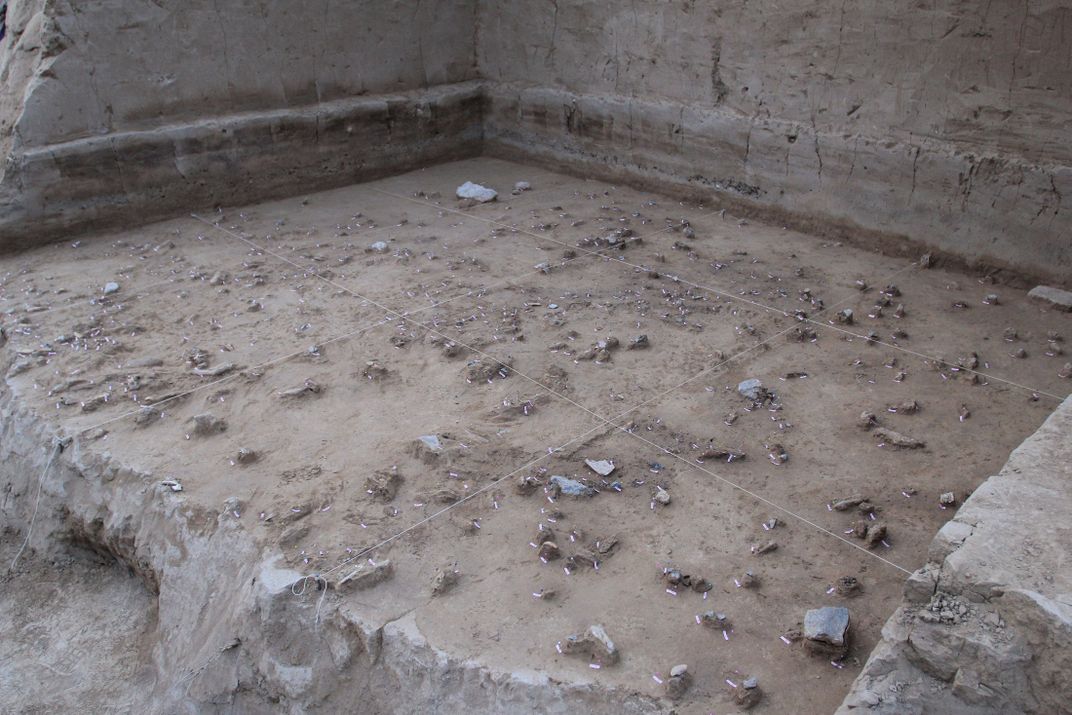 dig site filled with stone tools