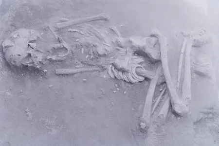 Ancient human remains and shell accessories found at the Hirota burial site