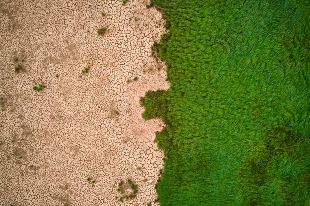 Drought Hit Poyang Lake And The Yangtze River Basin | Smithsonian Photo ...