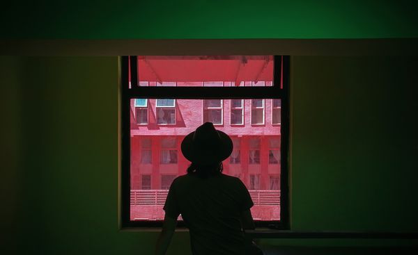 The man in front of the window thumbnail