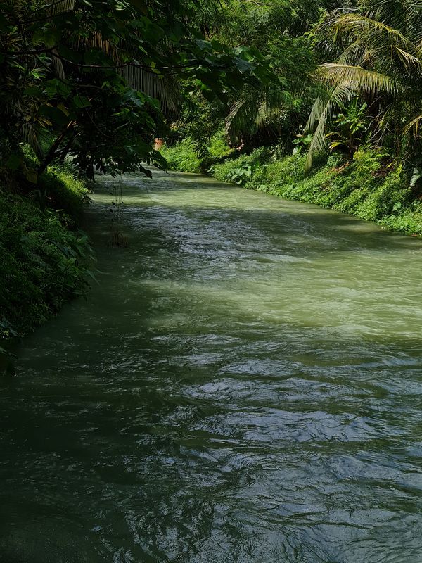 Beautiful stream in the outskirt of Kuala Lumpur. thumbnail