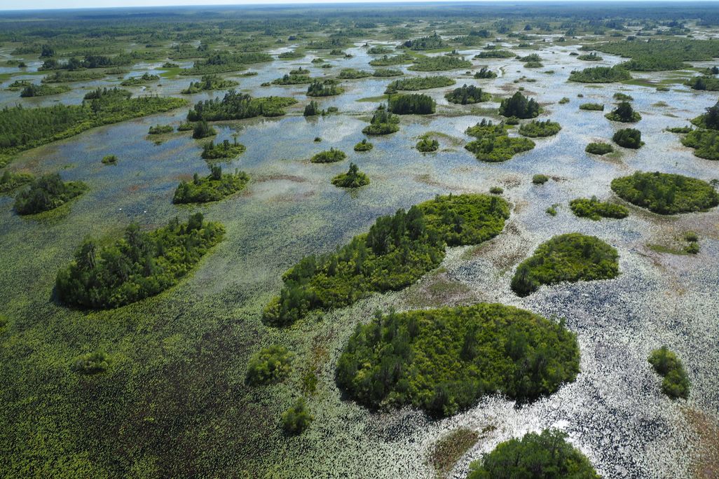 Okefenokee NWR