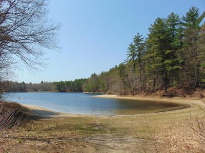 A new study reveals how Walden Pond has dramatically changed thanks to human activity.