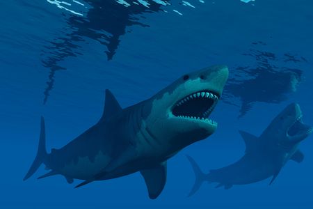 A large number of ancient marine species, including the massive megalodon shark, disappeared in a marine extinction event roughly 2 million years ago. 