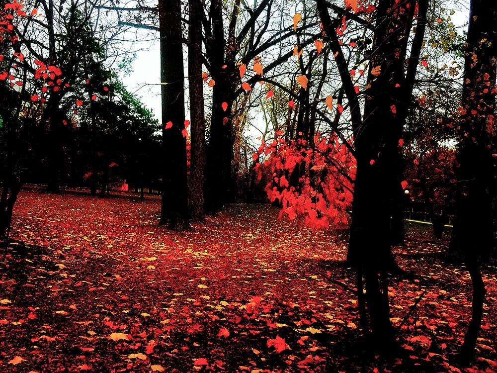 AUTUMN 2025 I | Smithsonian Photo Contest | Smithsonian Magazine