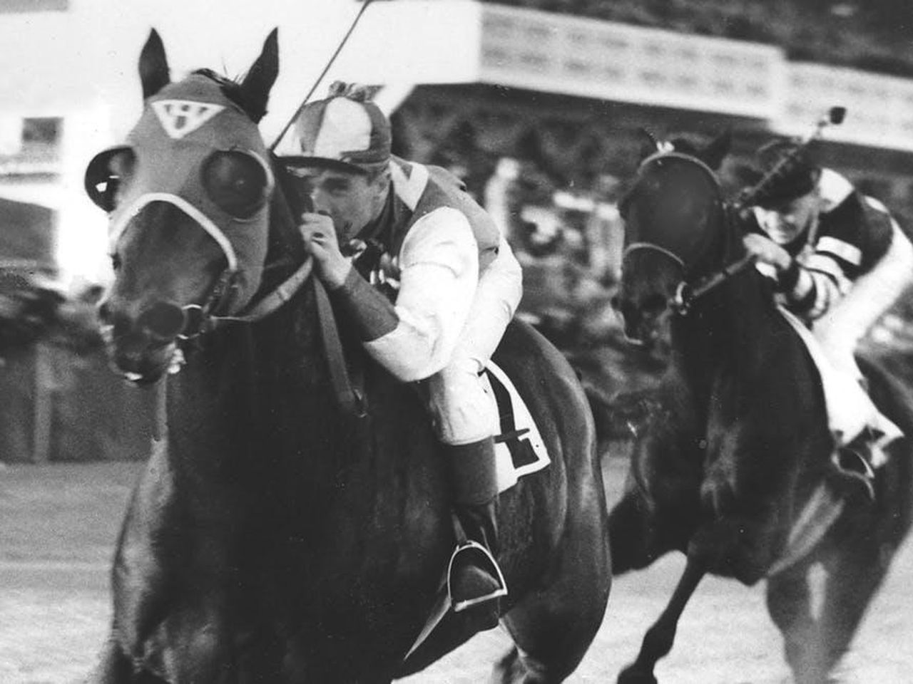 Seabiscuit True Story