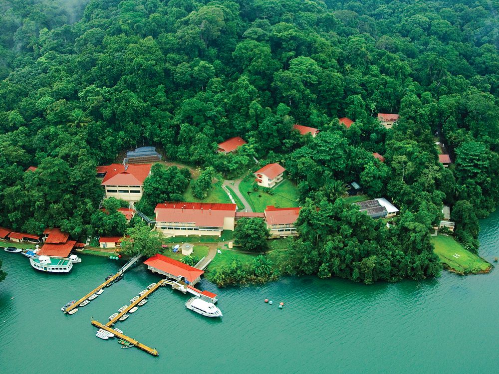 On June 3 live from Panama, Smithsonian Tropical Research Institute staff share their ground-breaking research on tropical forests and marine ecosystems.