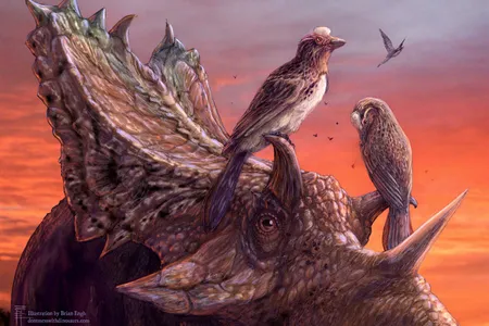 Artist's rendition of Mirarce eatoni.