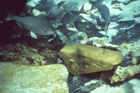 The sandstone blocks were photographed at the wreck site in the 1970s.