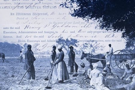 The portal currently features 613,458 entries documenting the people, events and places involved in the transatlantic slave trade.